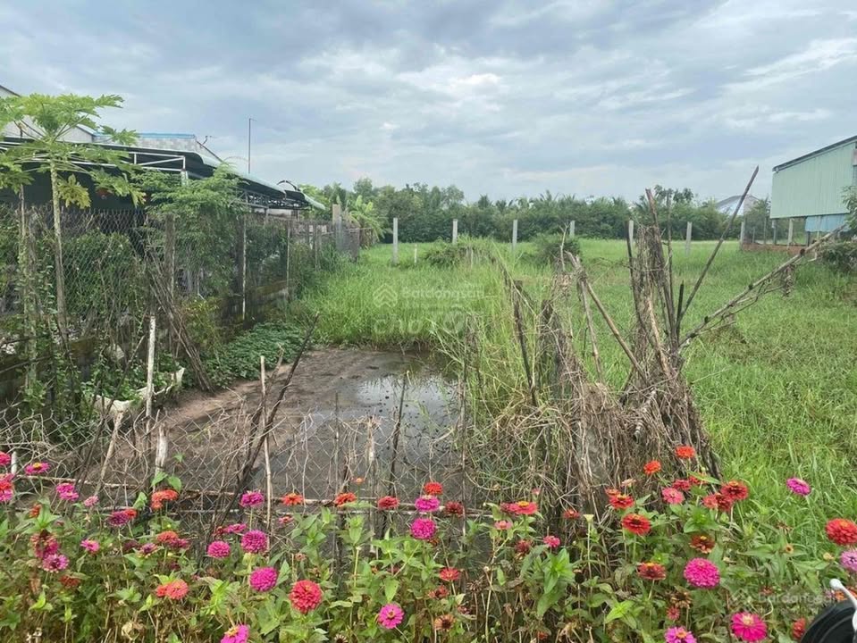 Đất nền thổ cư 152m² đường Bàu Trai, Tân Phú chỉ 1.4 tỷ - Cơ hội vàng cho nhà đầu tư!