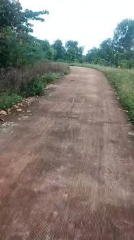 Đất nền Đồng Tâm, Đồng Phú 80.000m² giá 720 triệu - Cơ hội đầu tư sinh lời!