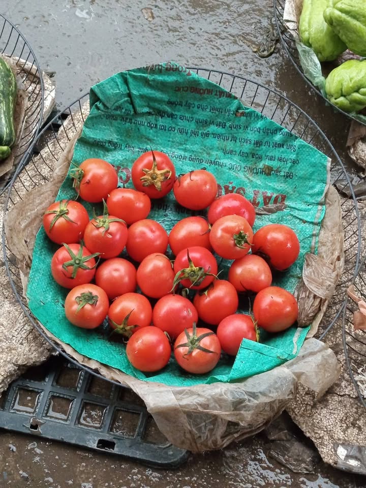 Nhà 3 tầng Đa Tốn, Gia Lâm 70m² giá 6.2 tỷ - Tiềm năng đầu tư cao!