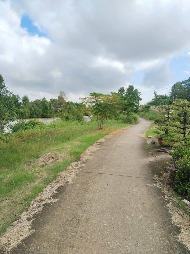 Đất vườn mặt tiền rộng Xã Hòa Thành, Cà Mau 2300m² - Cơ hội đầu tư hấp dẫn!