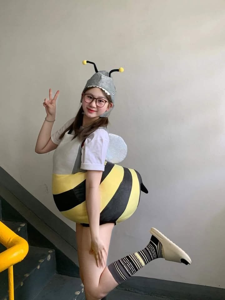 Đất nền Quỳnh Minh 128m² giá chỉ 600 triệu - Cơ hội đầu tư hấp dẫn!