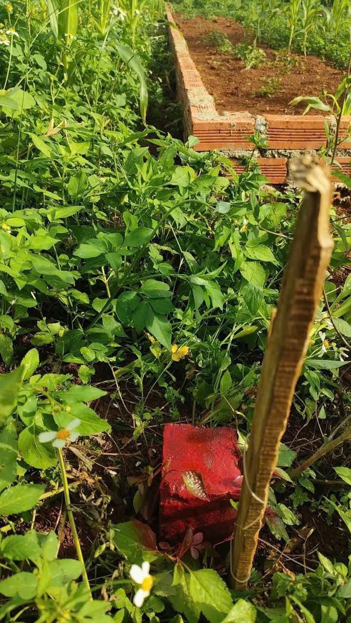 Đất nền Cuôr Đăng, Cư M'gar 250m² giá 395 triệu - Pháp lý rõ ràng, hướng Tây Bắc!