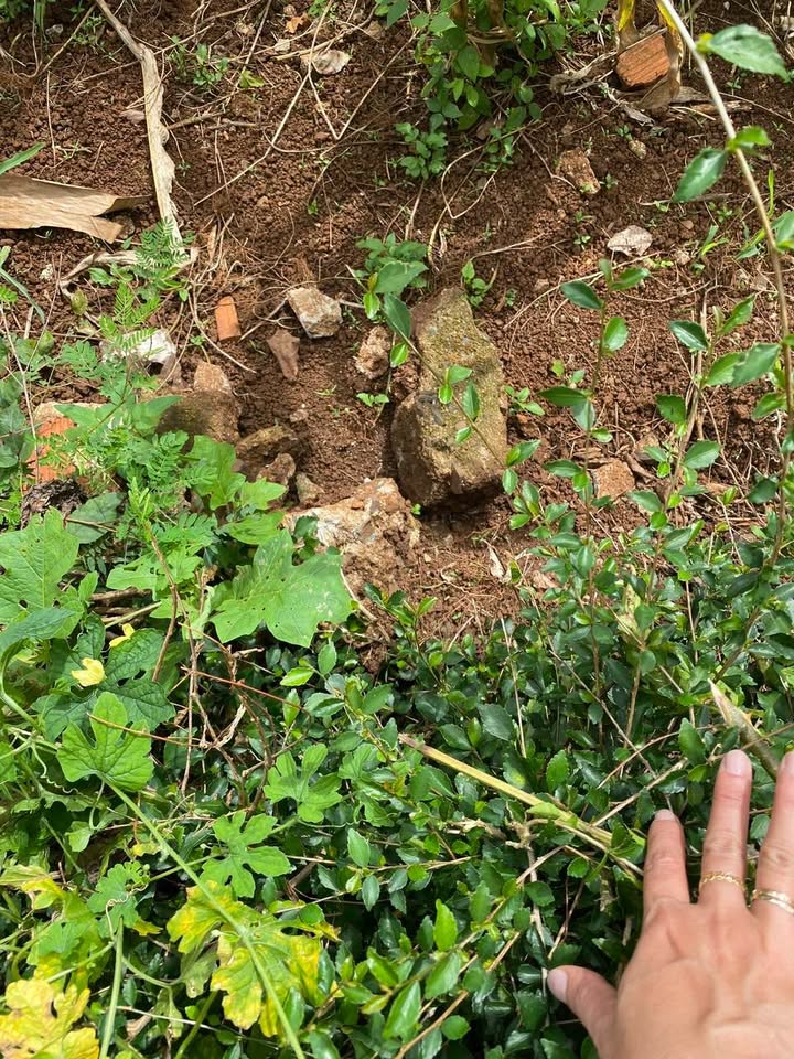 Đất nền Cư M'gar 210m² giá 990 triệu - Đầu tư sinh lời ngay!