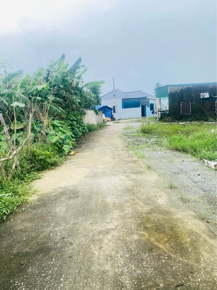 Đất nền Vinh Hưng 82m² giá chỉ 1.4 tỷ - Vị trí kết nối thuận tiện!