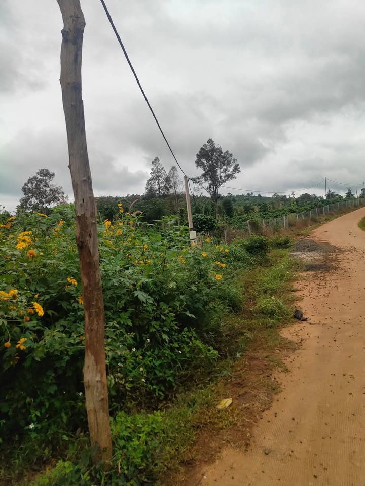 Đất thổ cư 3,5 sào Đức Minh - Giá chỉ 2.1 tỷ - Sổ hồng chính chủ!