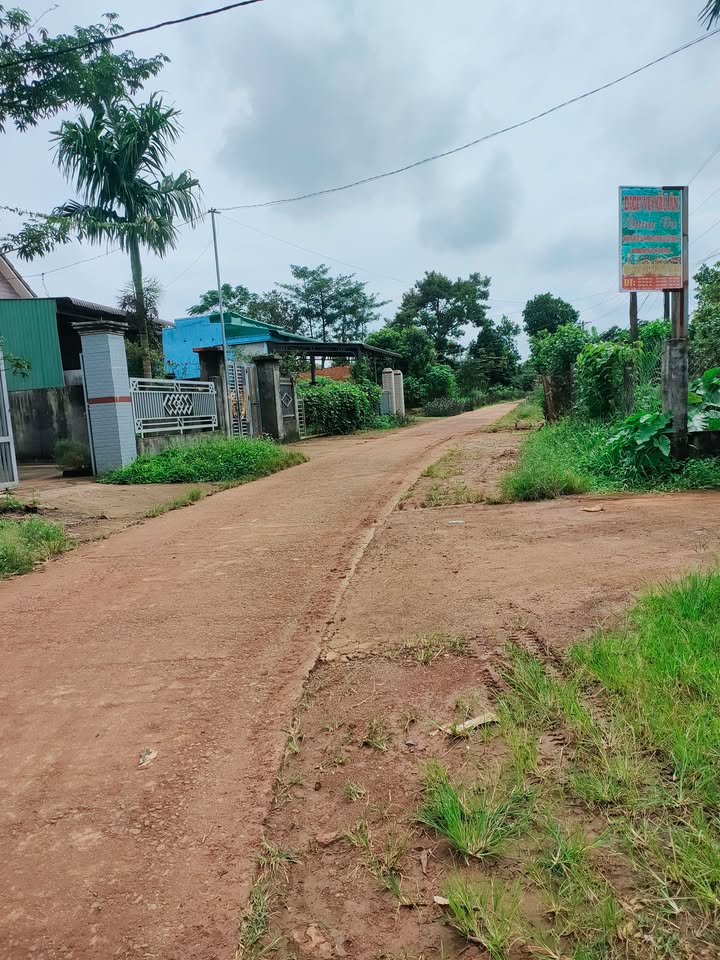 Đất nền Nhân Cơ 500m² giá 920 triệu - Kinh doanh tiềm năng