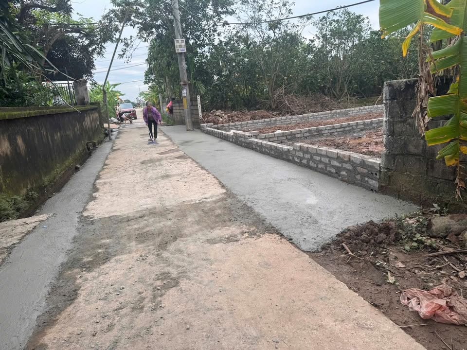 Đất nền Bạch Hạ, Phú Xuyên 99m² giá 1.93 tỷ - Đầu tư sinh lời ngay!