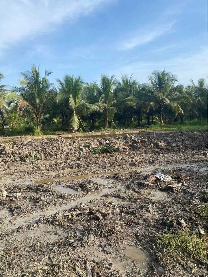 Đất thổ cư 180m² tại Thạnh Nhựt, Gò Công Tây giá 300 triệu - Cơ hội đầu tư lý tưởng!