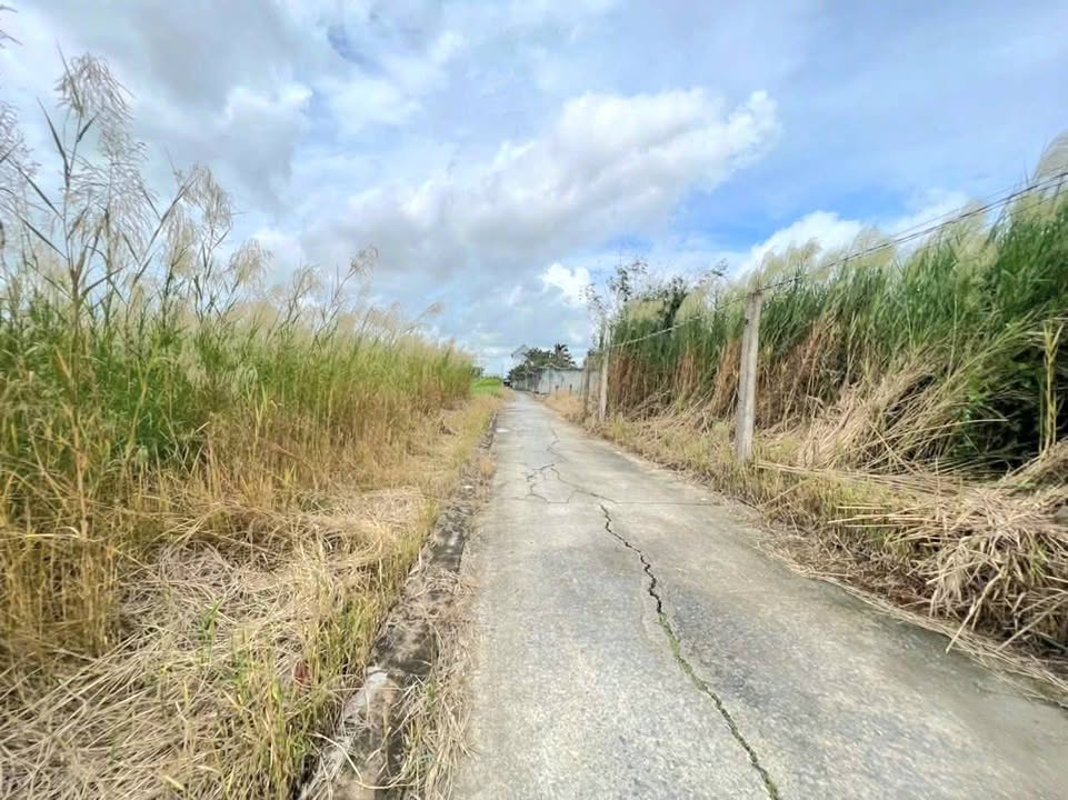 Đất nền 162m² tại phường Sơn Qui, Gò Công chỉ 590 triệu - Đầu tư sinh lời ngay!