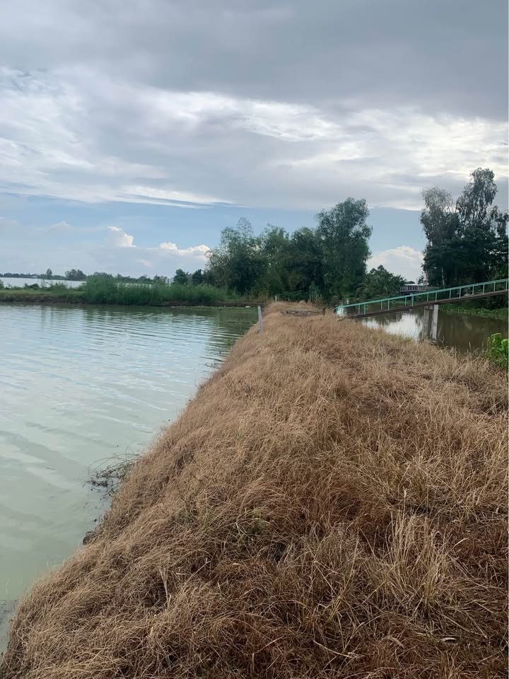 Đất nền Đông Thuận, Thới Lai, Cần Thơ 1000m² giá chỉ 200 triệu - Đầu tư sinh lời ngay!