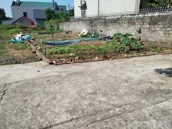 Đất thổ cư tại thôn Liên Minh, xã Quảng Oai, Ba Vì 200m² - Giá cực tốt cho đầu tư!