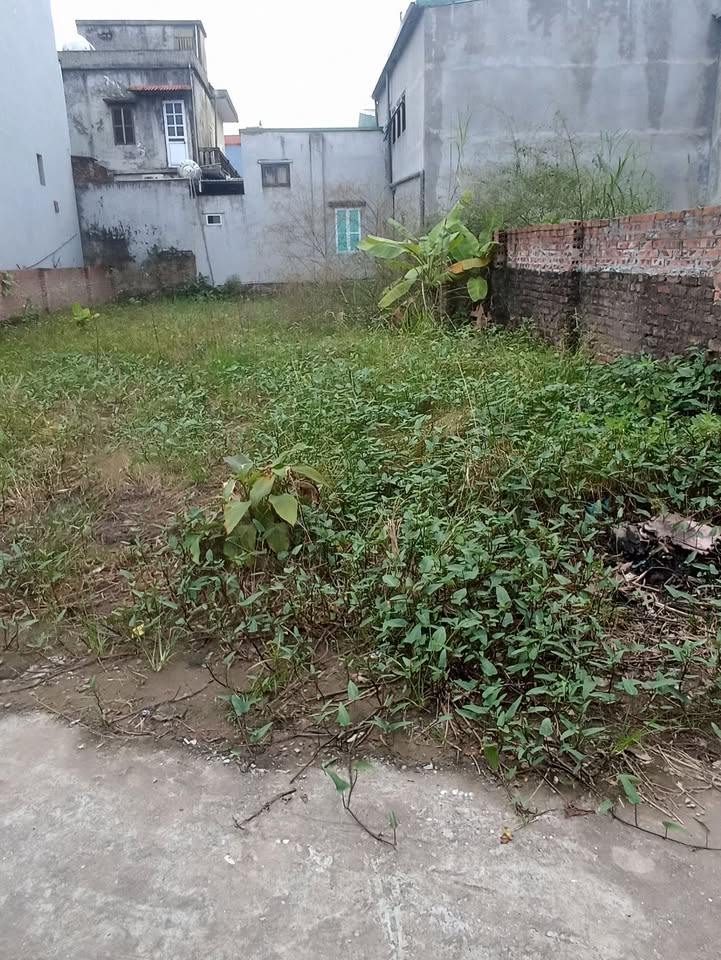 Lô đất Nam Phù 205m² giá 7 tỷ - Cơ hội đầu tư hiếm có!