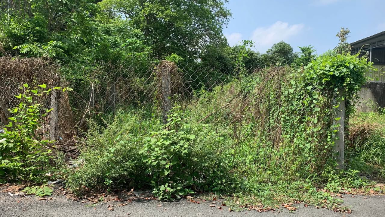 Đất mặt tiền đường 10A, xã Tân An Hội, huyện Củ Chi 95m² - Đầu tư sinh lời ngay!