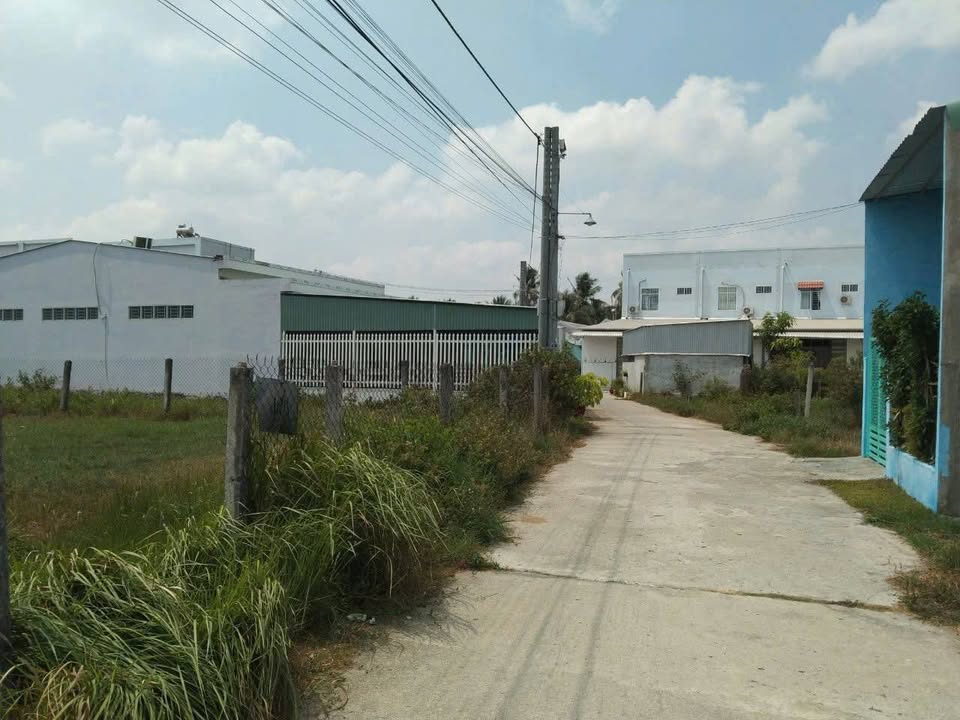 Đất nền 150m² tại ấp Phú Hòa, xã Long Đức, giá chỉ 400 triệu - Cơ hội đầu tư sinh lời!