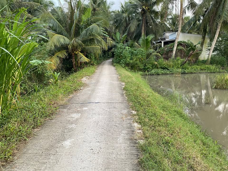 Đất ruộng 3600m² tại ấp Ninh Bình, Càng Long - Giá 170 triệu, thương lượng!