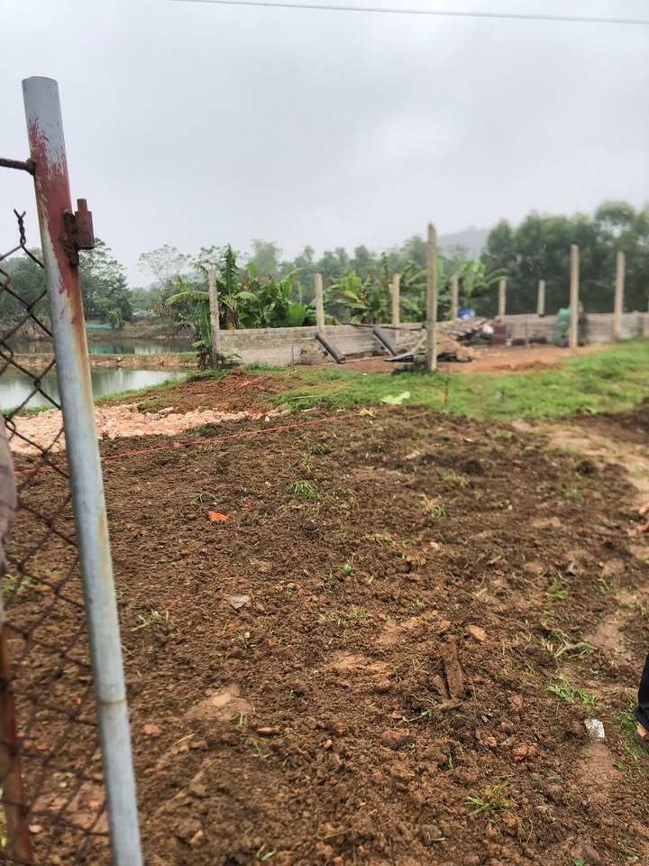 Mảnh vườn nghỉ dưỡng 2300m² Cao Xá Tân Yên - Giá chỉ 2.15 tỷ