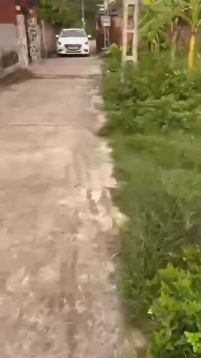 Đất nền Phường Trung Thành, Sông Công 115m² giá 800 triệu - Đầu tư sinh lời hấp dẫn!