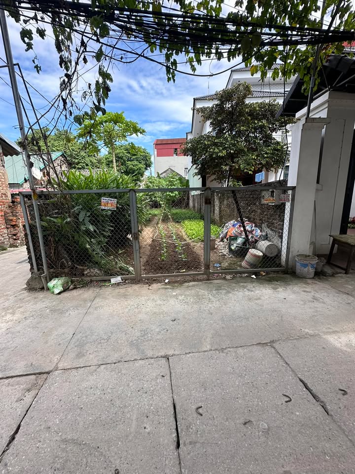 Đất lô góc Võng La 60m² giá 5.5 tỷ - Không gian sống lý tưởng!