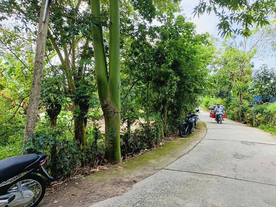 Đất nền đẹp đường Mai Văn Khải, phường Mỹ Ngãi, 305.7m² giá 900 triệu - Sổ hồng riêng, chính chủ!