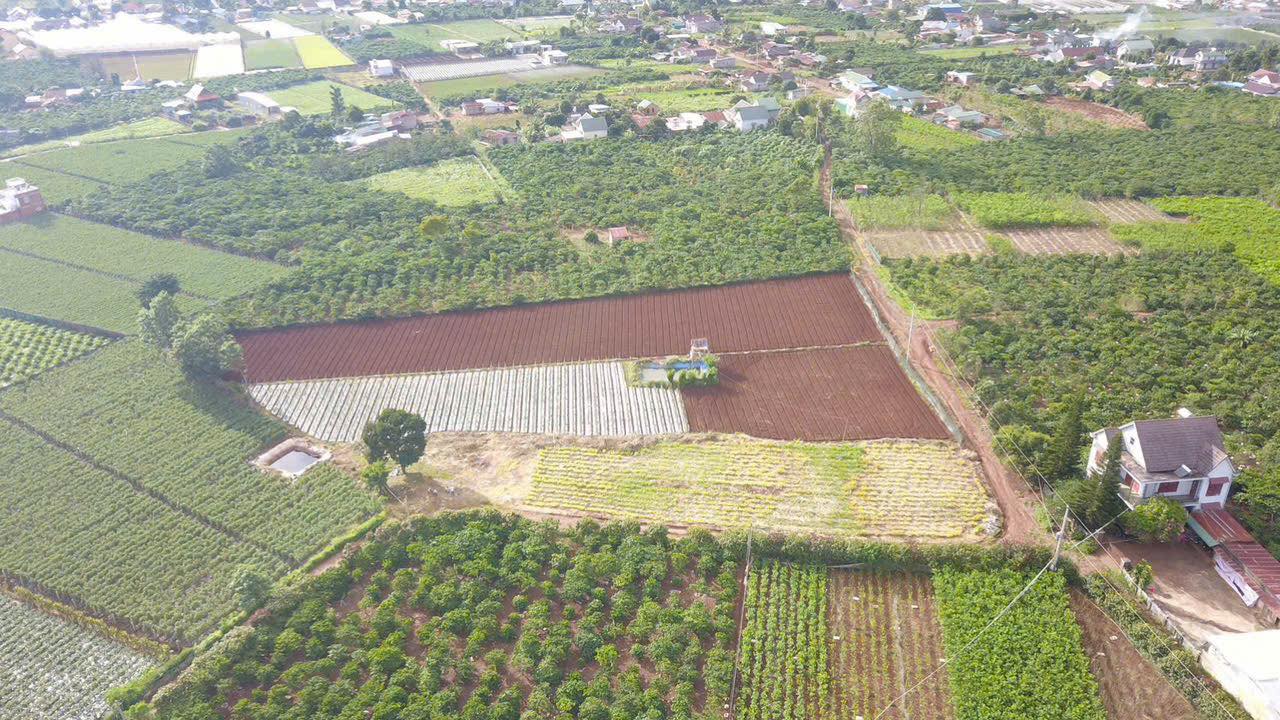 Đất nền Liên Hiệp, Đức Trọng 6059m² giá chỉ 4,2 triệu/m² - Mặt tiền 51m, đầu tư sinh lời!