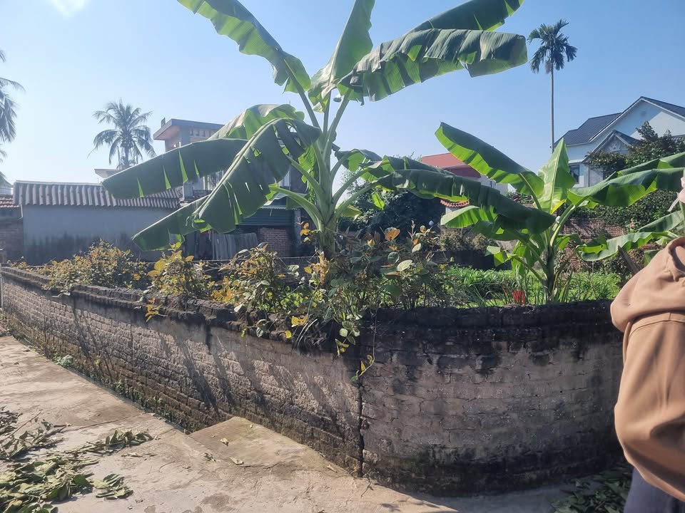 Đất nền chính chủ tại Liên Mạc - Thanh Hà 200m² giá 1 tỷ - Đầu tư sinh lời ngay!