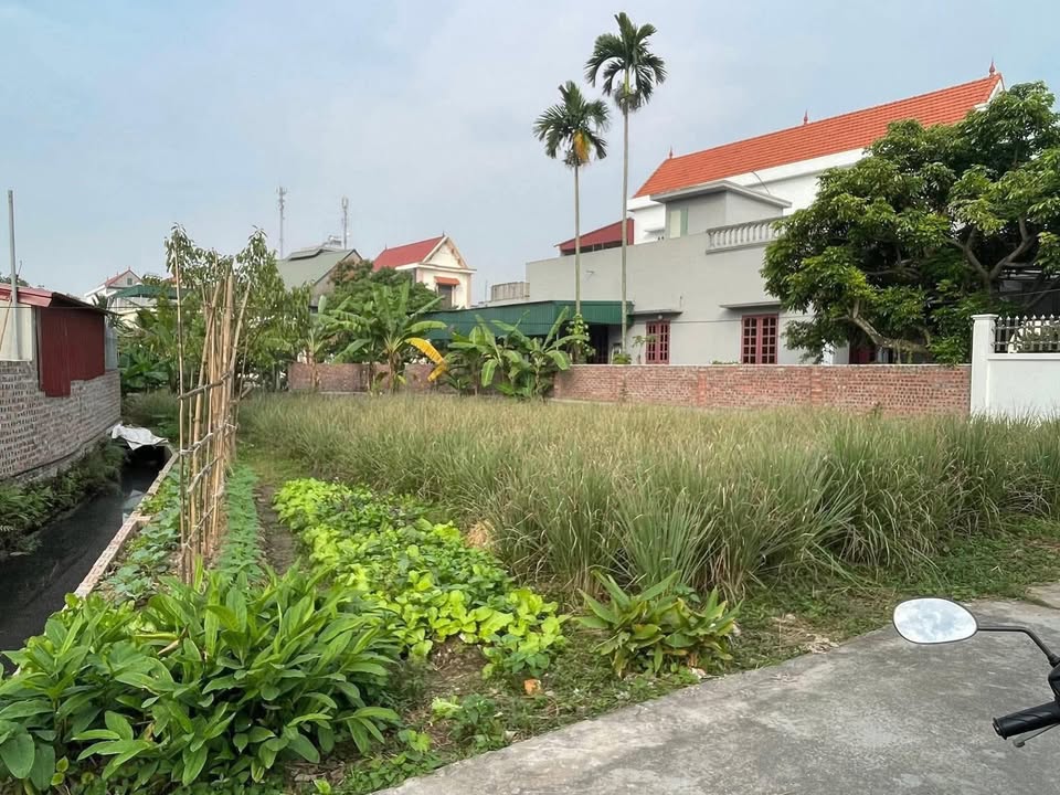 Đất nền Hồng Lạc Thanh Hà 105m² giá 1.1 tỷ - Đầu tư sinh lời ngay!