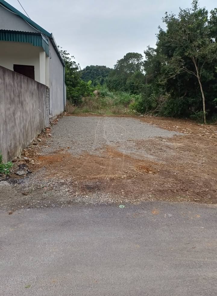 Đất nền thôn 1, xã Đông Sơn, 600m² - Giá thỏa thuận cực hấp dẫn!