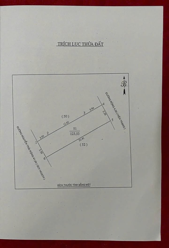 Bán lô đất mặt đường Nguyễn Trãi Vinh 123,5m² giá 10 tỷ - Đầu tư sinh lời cao!