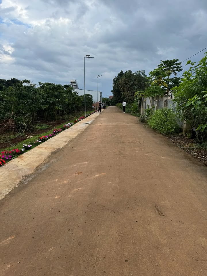 Đất nền Thanh Bình, Đức Trọng 200m² giá 730 triệu - Vị trí cực đẹp, cơ hội đầu tư không thể bỏ lỡ!