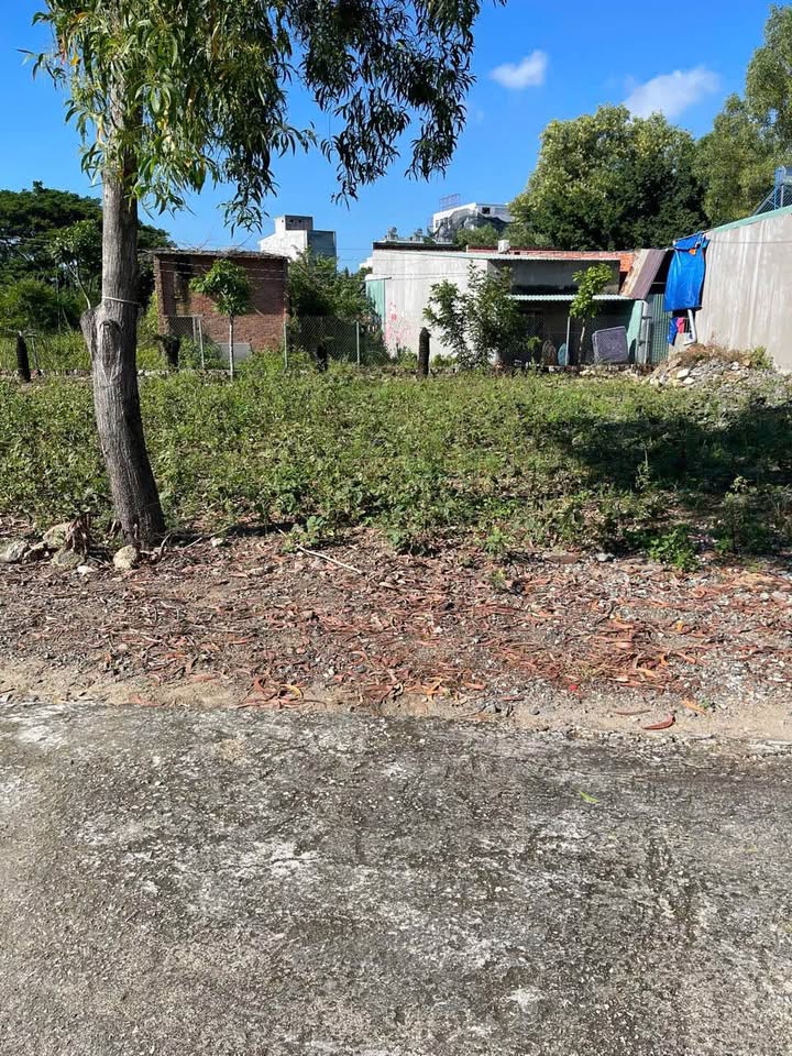 Đất nền phường Long Tâm Bà Rịa 116m² giá 1.95 tỷ - Đầu tư sinh lời ngay!