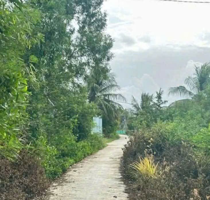 Đất ven khu công nghiệp Vạn Hưng 1262m² giá 3.7 triệu/m² - Đầu tư sinh lời ngay!