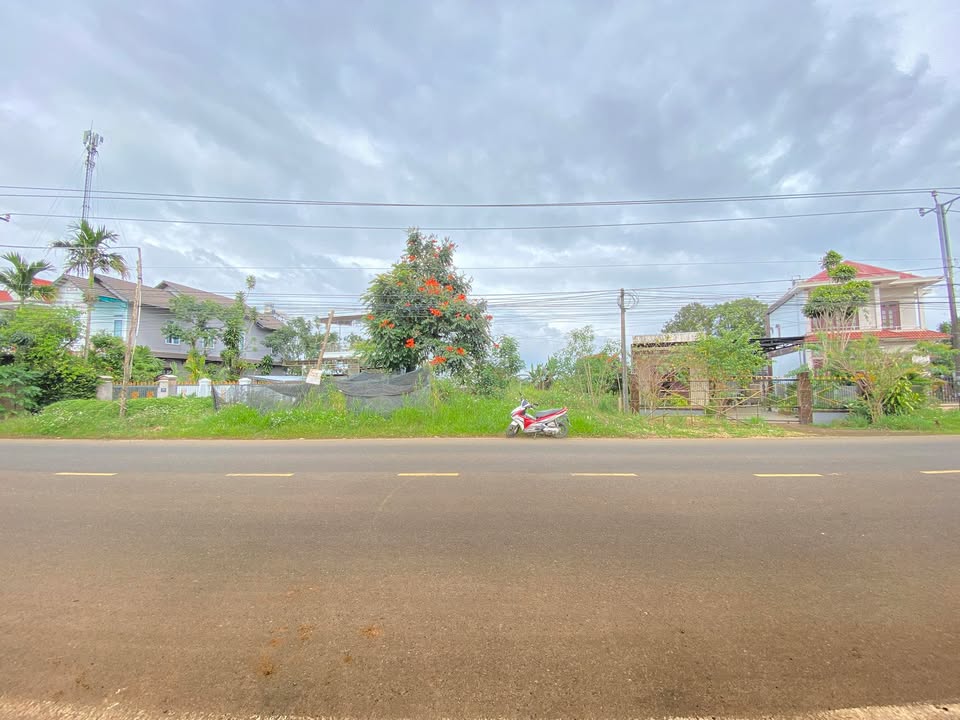 Đất nền Bảo Lộc 288m² giá 5.3 tỷ - Sổ hồng chính chủ, thổ cư sẵn!