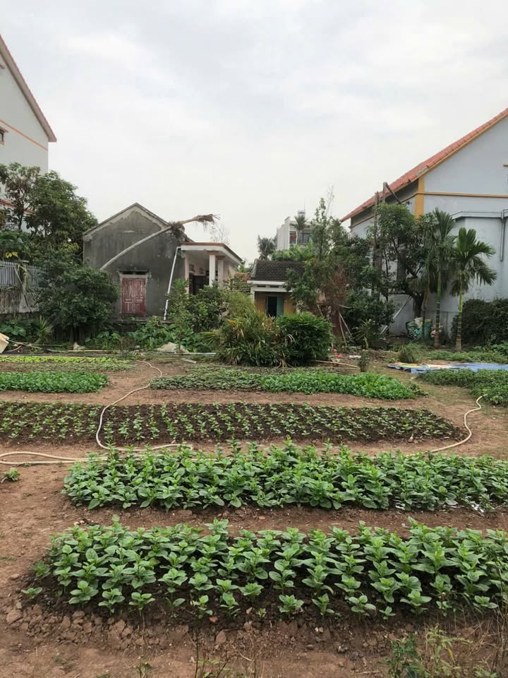 Đất mặt phố Hà An, Quảng Yên 700m² giá 9 tỷ - Cơ hội đầu tư sinh lời!