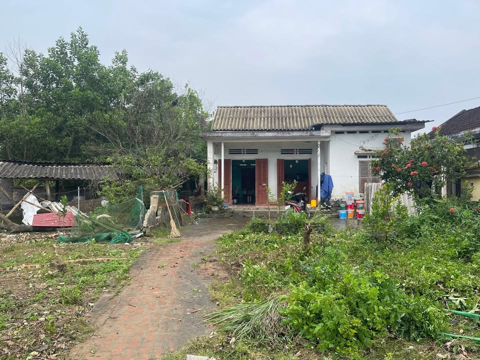 Đất vườn Địch Quả - Thanh Sơn 1000m² giá 700 triệu - Tiềm năng đầu tư vượt trội!