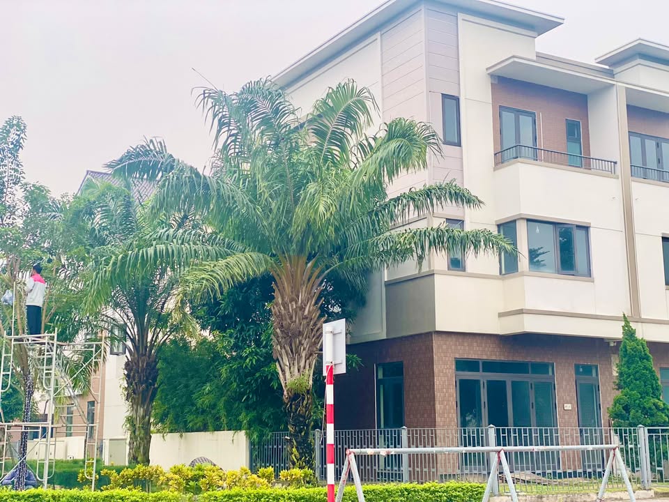 Shophouse Centa Riverside Từ Sơn 184m² - Căn góc duy nhất mặt tiền chính!