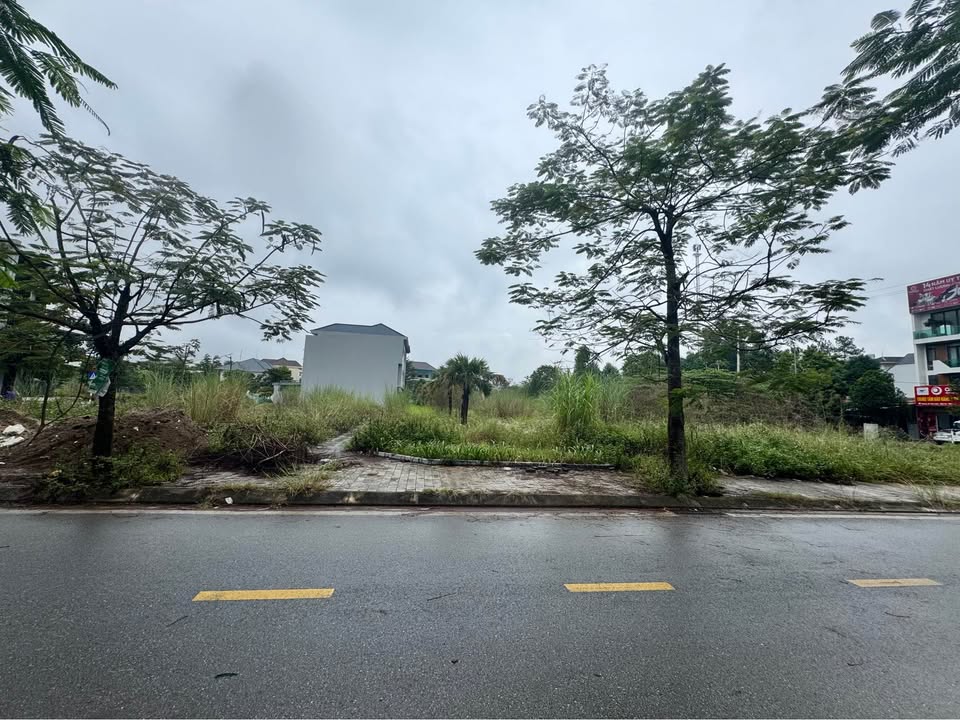 Đất nền 180m² tại Khu đô thị Lạc Ngàn, Việt Trì - Mặt tiền 10m, Sân vườn tuyệt đẹp!