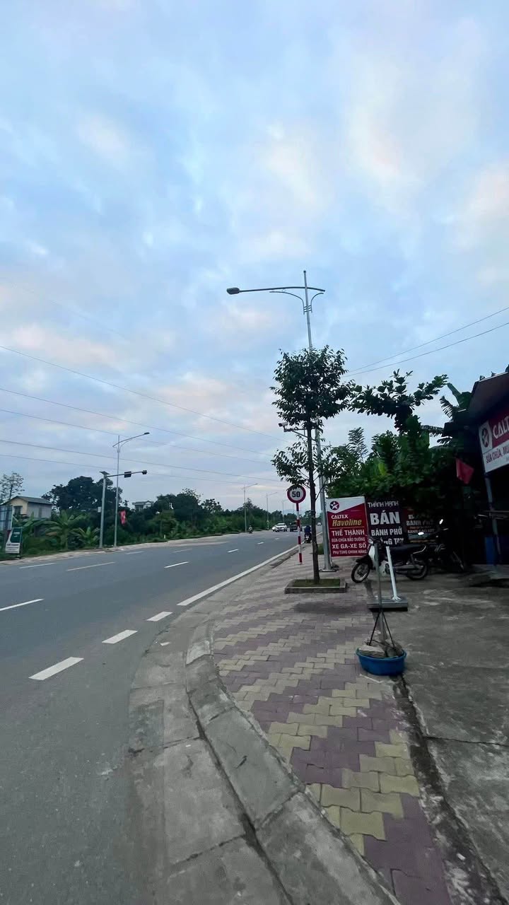 Đất nền thổ cư 550m² tại thôn 12 Trung Môn - Gần đại học Tân Trào, chỉ 4 tỷ!