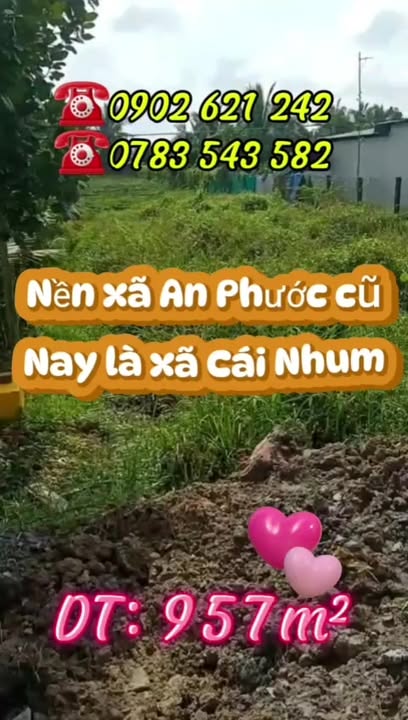 Đất mặt tiền Nguyễn Trãi, An Phước, 957m² giá 3 tỷ - Cơ hội đầu tư lý tưởng!