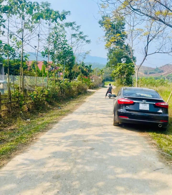 Đất thổ cư Ngọc Đồng, Yên Lập 100m² giá 99 triệu - Mặt tiền rộng, vị trí tiện lợi!