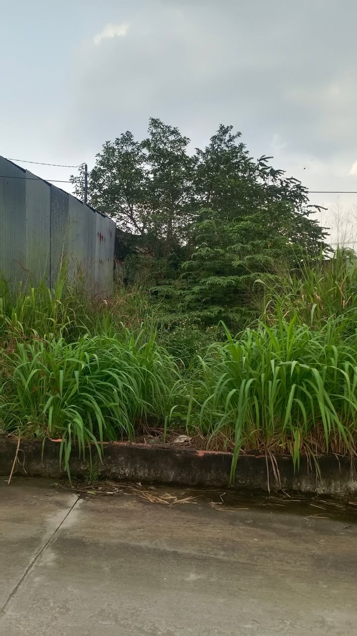 Đất nền Trảng Dài Biên Hòa 100m² giá 1.25 tỷ - Sổ riêng chính chủ