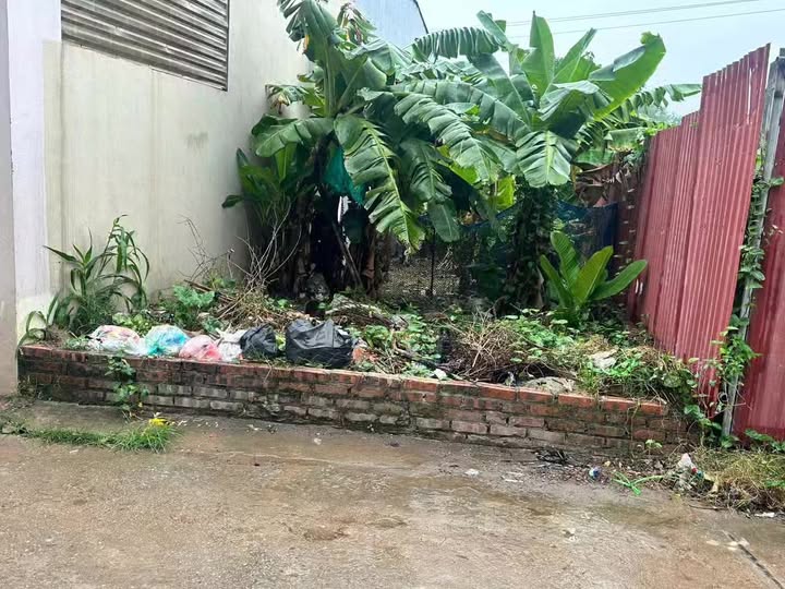 Đất đẹp tại Kiêu Kỵ, Gia Lâm 79.6m² - Cơ hội đầu tư tuyệt vời!