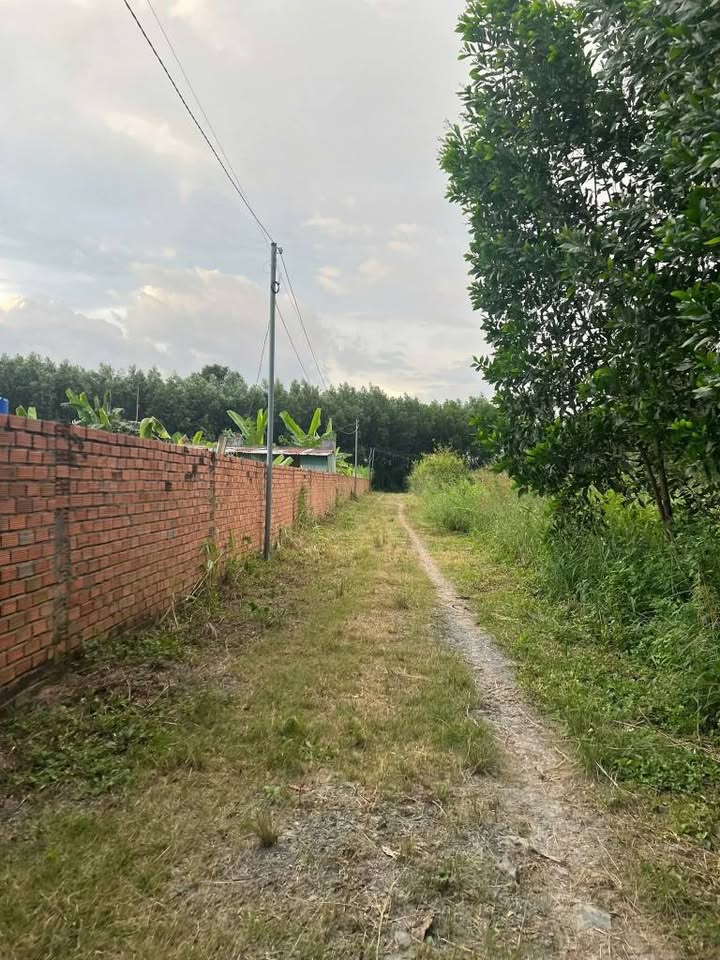 Đất nền 1500m² tại Tân Triều, Vĩnh Cửu - Giá chỉ 2.5 tỷ, sẵn sàng xây nhà vườn!