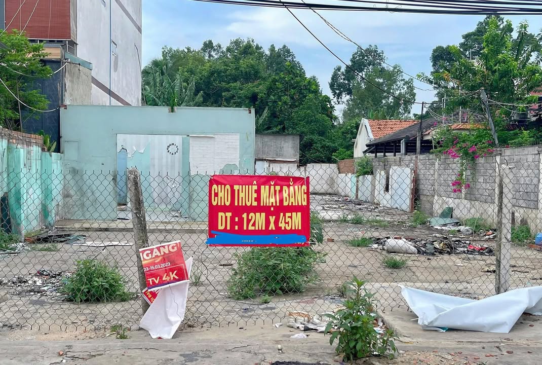 Bán đất mặt tiền Quốc lộ 22 Trảng Bàng 540m² giá 14.5 tỷ - Cơ hội đầu tư không thể bỏ lỡ!