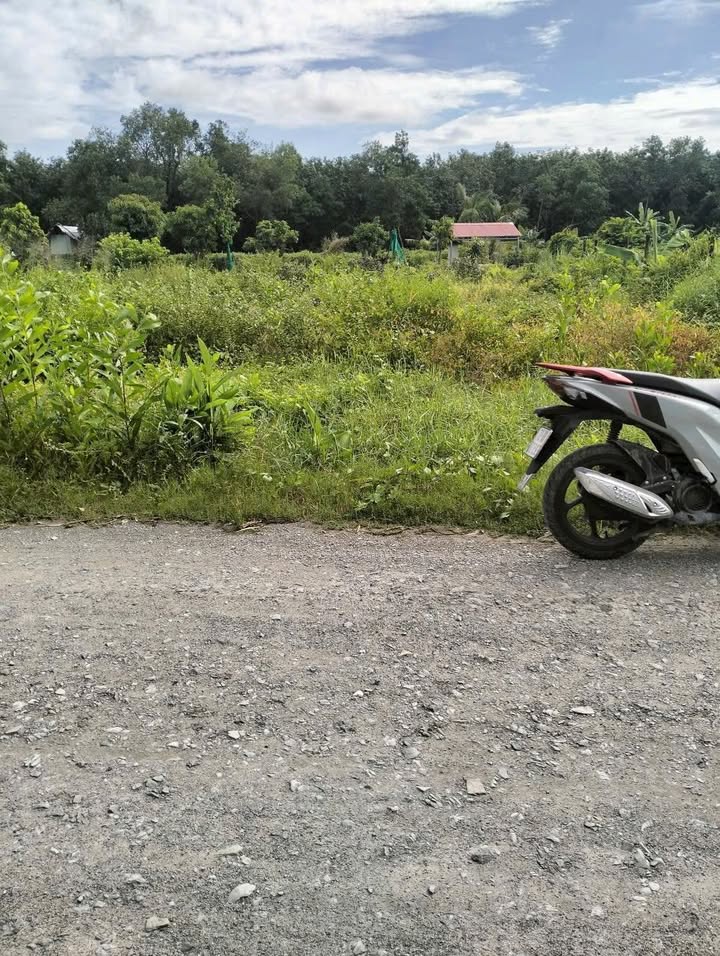 Đất thổ cư Bàu Năng, Dương Minh Châu, 210m² giá 1.45 tỷ - Đầu tư sinh lời ngay!