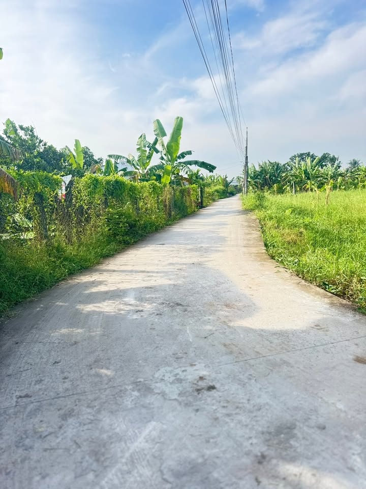 Đất nền Bình Quới, Châu Thành, Long An 200m² giá chỉ 399 triệu - Cơ hội đầu tư tốt!