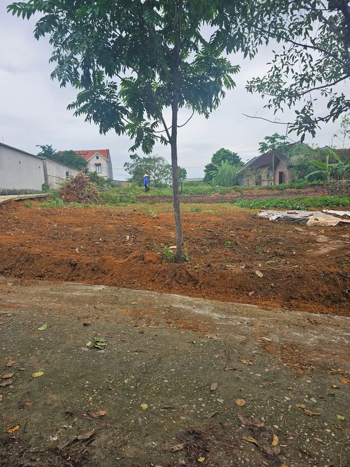 Đất nền Thanh Đình, Việt Trì 187m² giá 1.7 tỷ - Mặt tiền đường rộng rãi!