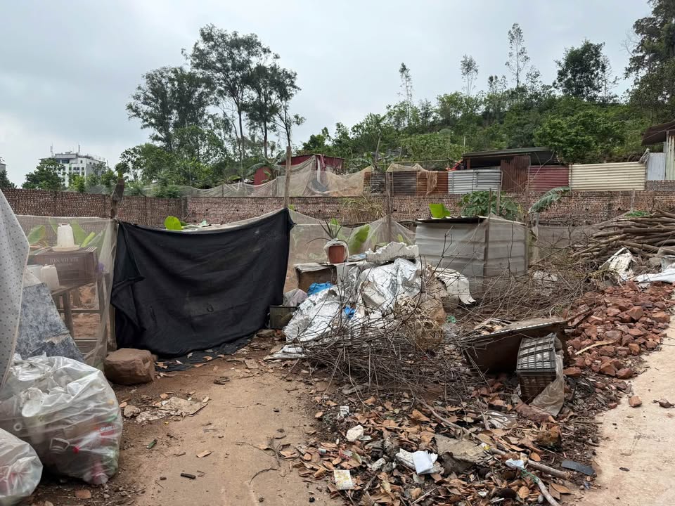 Đất thổ cư Vân Dương, Quế Võ 82m² giá 2 tỷ - Vị trí trung tâm thuận lợi!