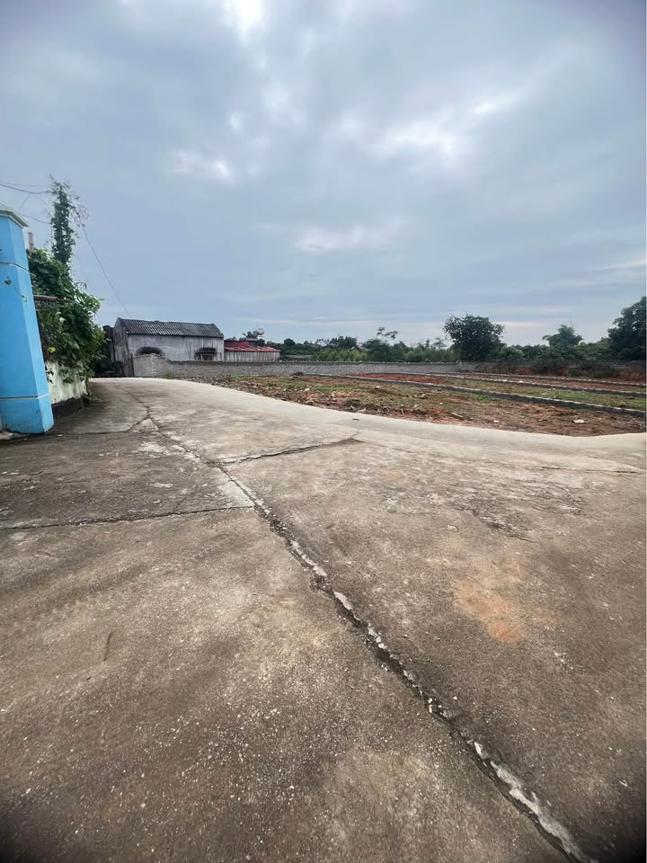 Đất nền Chu Điện Lục Nam 200m² giá 600 triệu - Cơ hội đầu tư tuyệt vời!