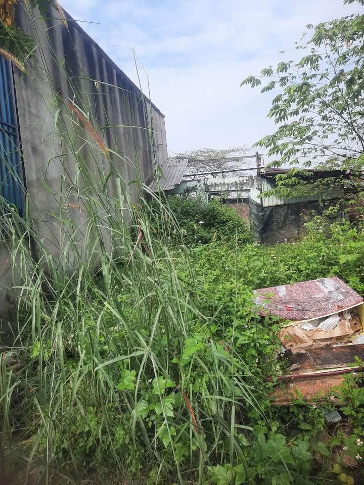 Đất nền Vĩnh Lộc A Bình Chánh 192m² giá 1.2 tỷ - Bán gấp, thương lượng tốt!