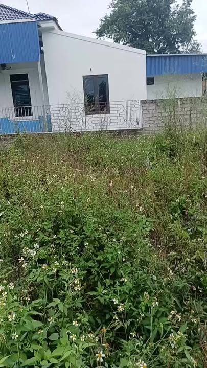 Đất chính chủ phường Lê Ích Mộc 60,1m² giá chỉ 900 triệu - Cơ hội đầu tư hấp dẫn!